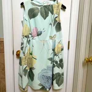 Gorgeous Ted Baker dress, worn once. Size 5 (US 14)